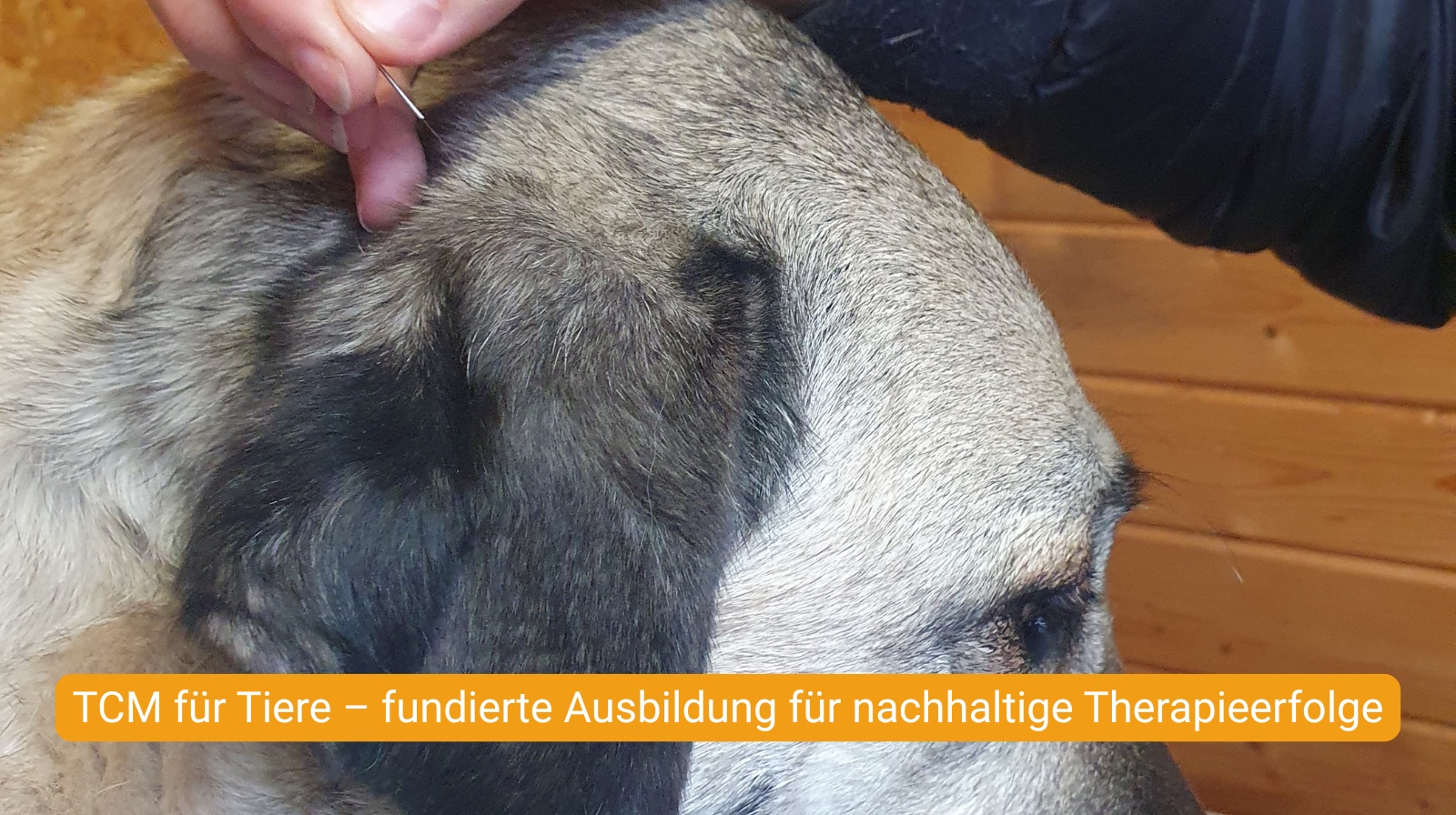 Beschreibung für Bild 1