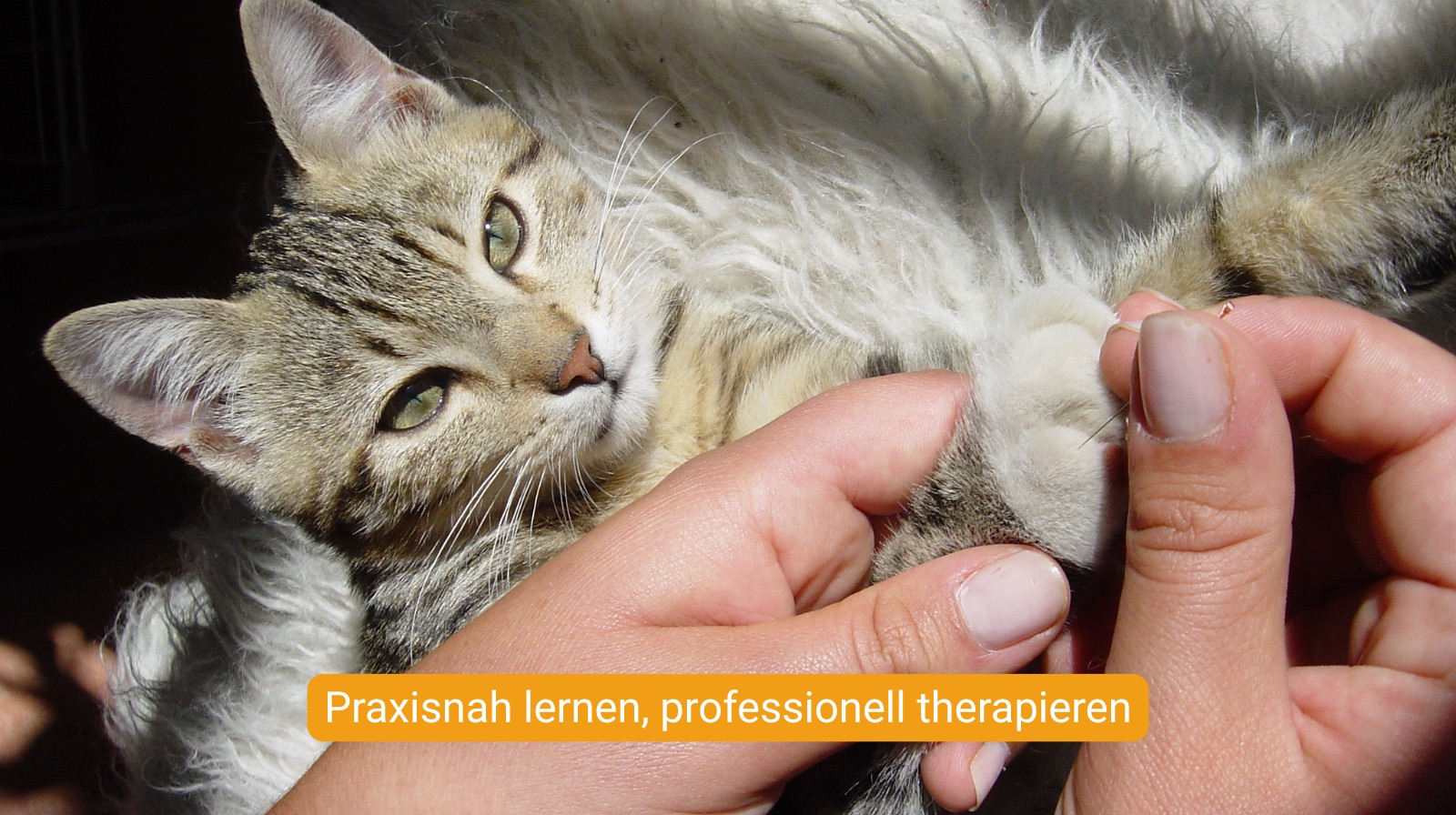 Beschreibung für Bild 2