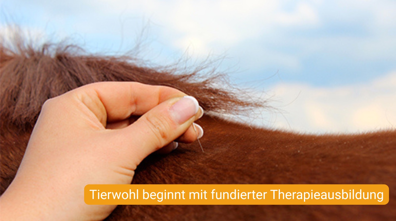 Beschreibung für Bild 3